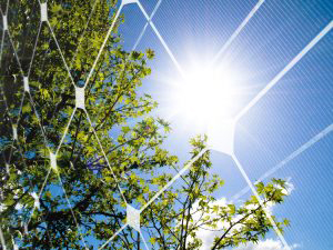 Quantos painéis solares podem atender ao consumo doméstico de eletricidade?