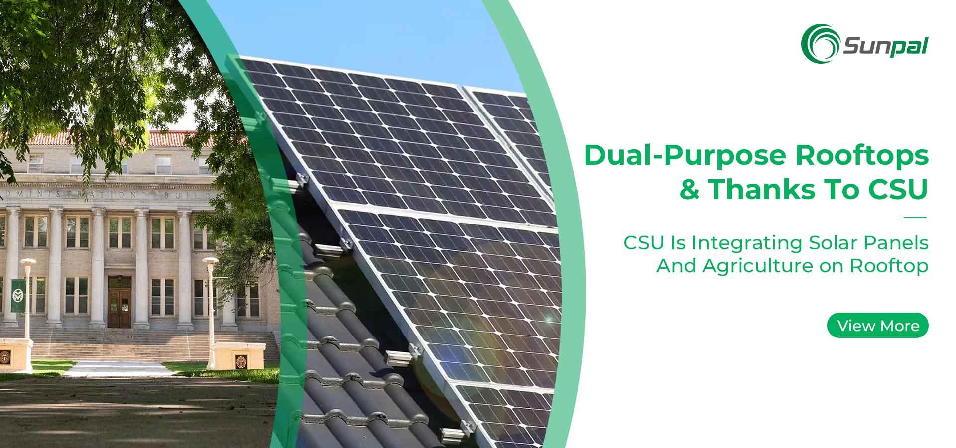 Telhados de dupla finalidade: combinando energia solar e agricultura