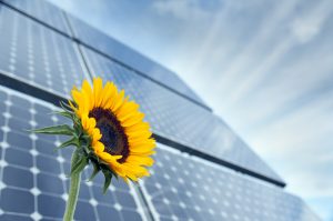 jinko solar assina o primeiro lote de pedidos de armazenamento de energia doméstico do vietnã