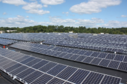 Rayzon lança módulos solares de painel duplo de 540W
