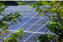 Pesado! Departamento do Tesouro dos EUA: projetos solares usando células fotovoltaicas chinesas podem solicitar subsídios do IRA
