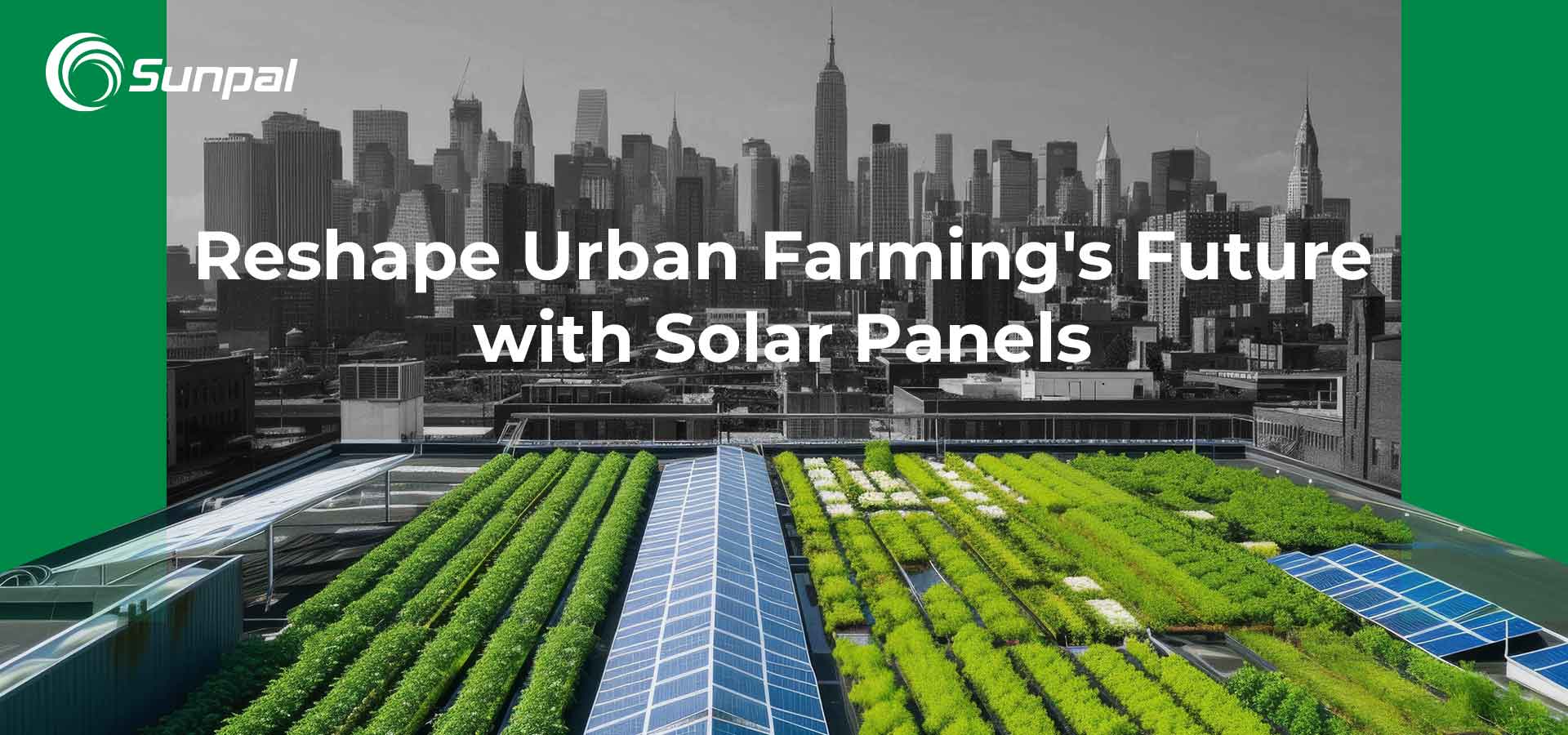 Telhados solares: remodelando o futuro da agricultura urbana